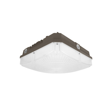 Garage & Canopy Light IDA Series
