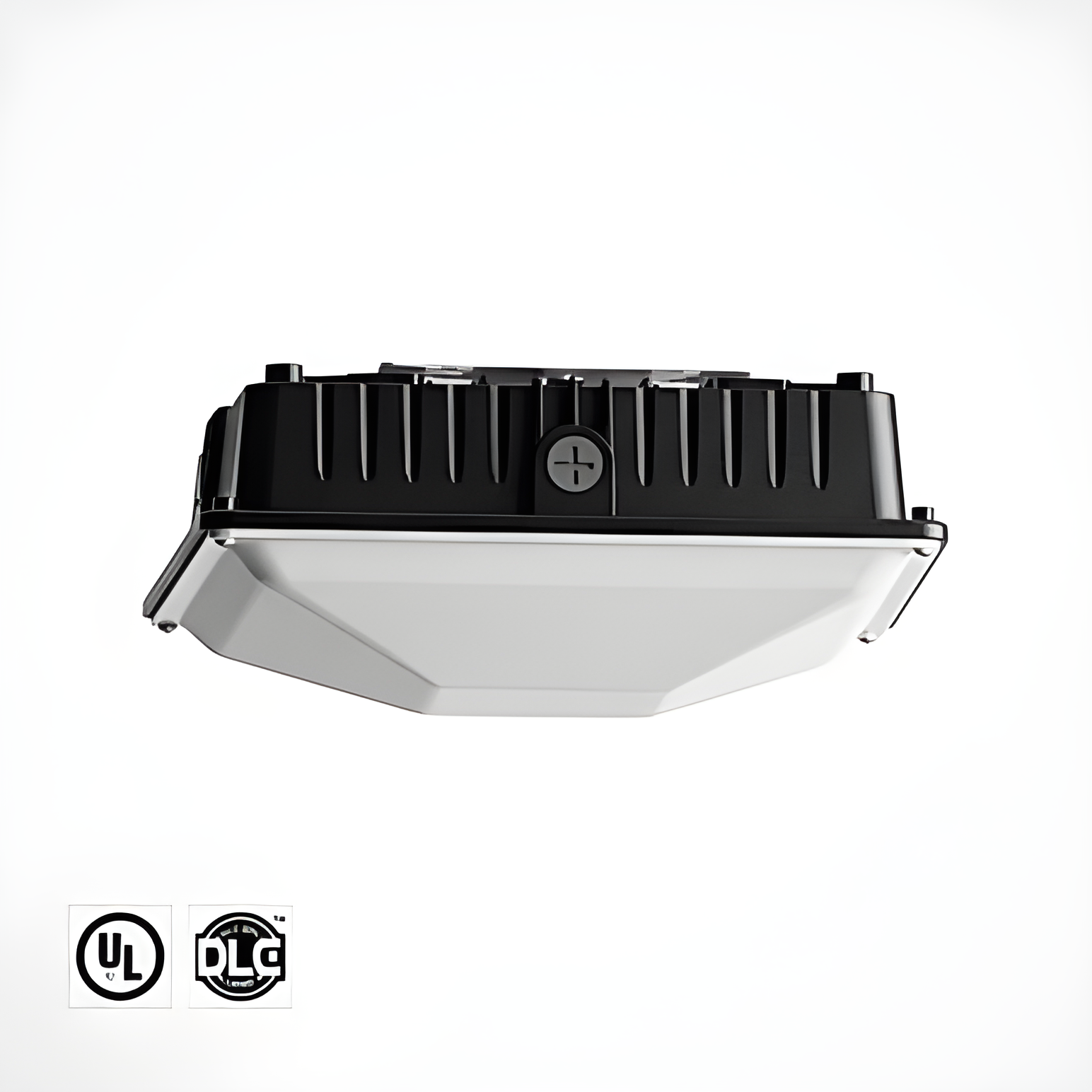 Garage & Canopy Light IDA Series